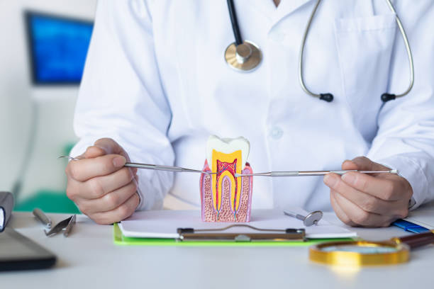 Best Cosmetic Emergency Dentistry in Ordway, CO